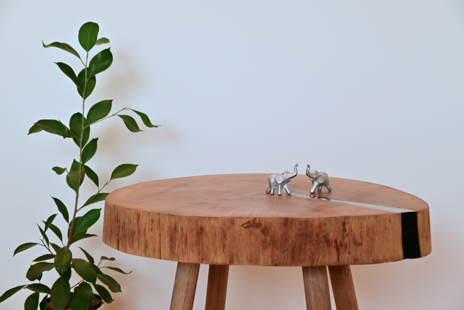 Midnight Oak Heritage